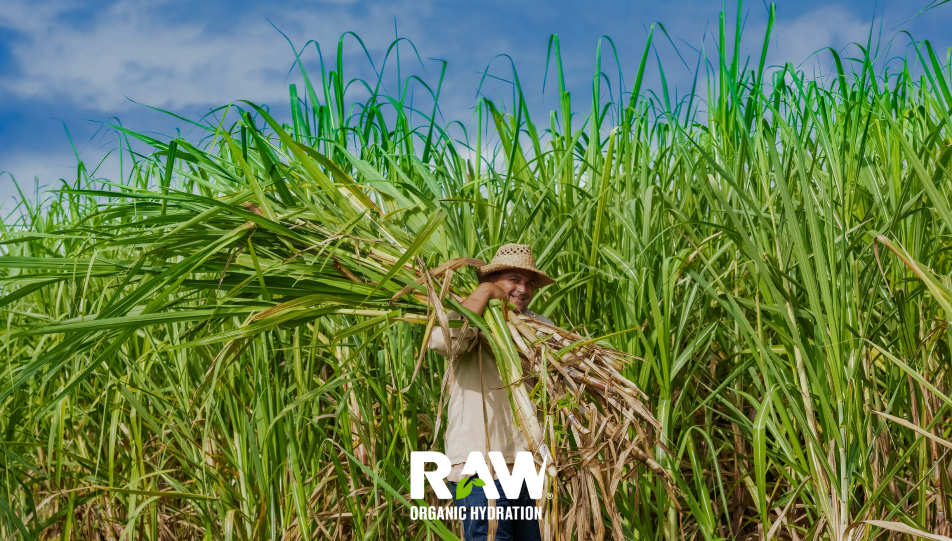 Cómo reduciendo el consumo de azúcar mejoramos la salud del planeta by RAW Super Drink